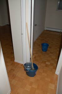 Schoonmaak