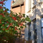 Weer terug op de campus